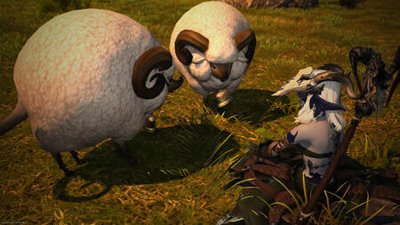 A younger, white-haired Sarnai in her traditional udgan attire sits on the ground before two sheep. The shadows are long, as the sun is just beginning to rise.