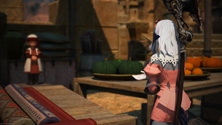 A younger Sarnai, still with white hair, in a pink retainer's outfit. She's talking to a Lalafellin man standing on a stool behind a countertop.